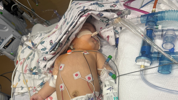 Support Lenora's Fight on Life Support campaign photo, 1 of 6