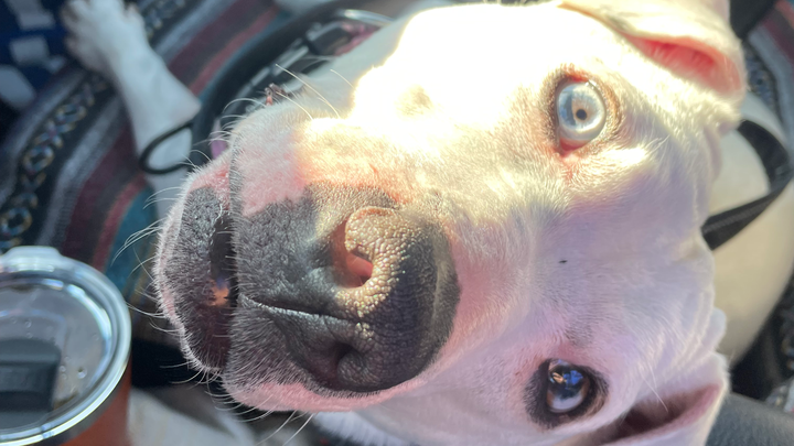 Support Blanche's Life-Saving Spinal Treatment campaign photo, 1 of 8