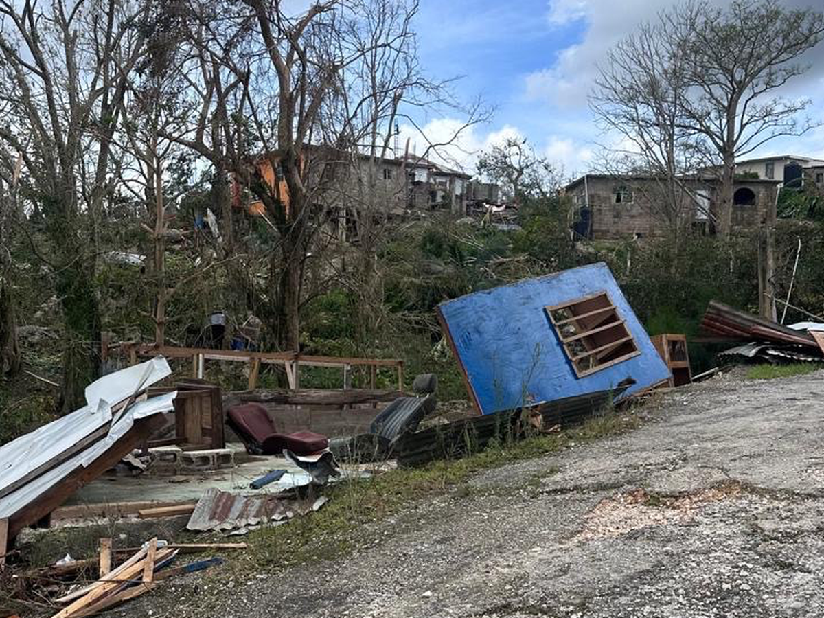 Help support Jamaica - Trelawny, St Bess, Mandeville campaign photo, 1 of 7