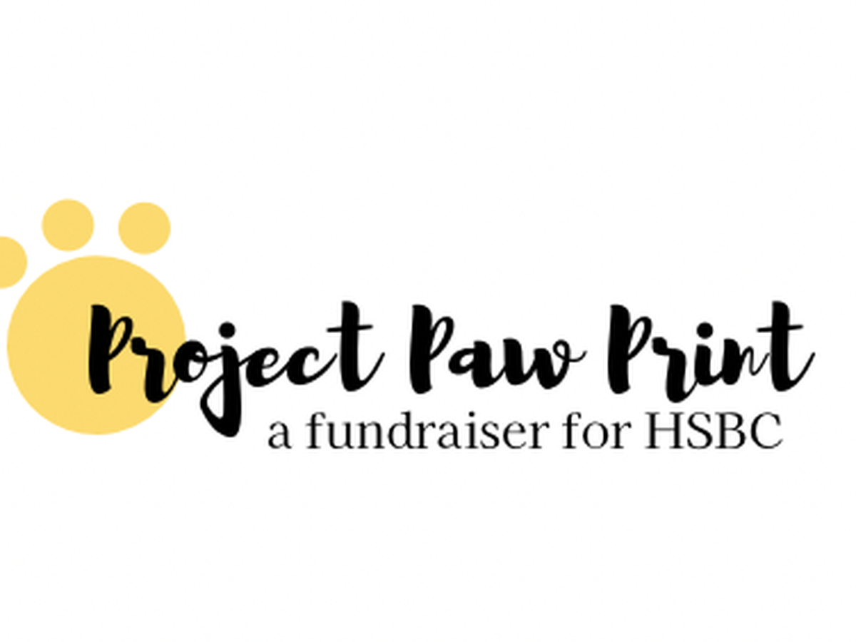Fundraiser’s main image