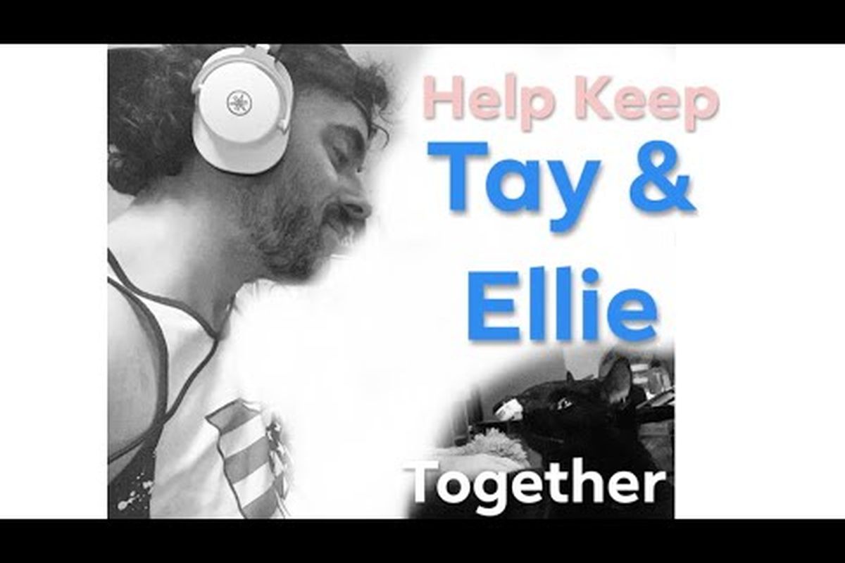 Fundraiser by Sean Daley : A new home for Tay & Ellie & Medical Bills