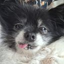 Profile photo of Sally Kerry