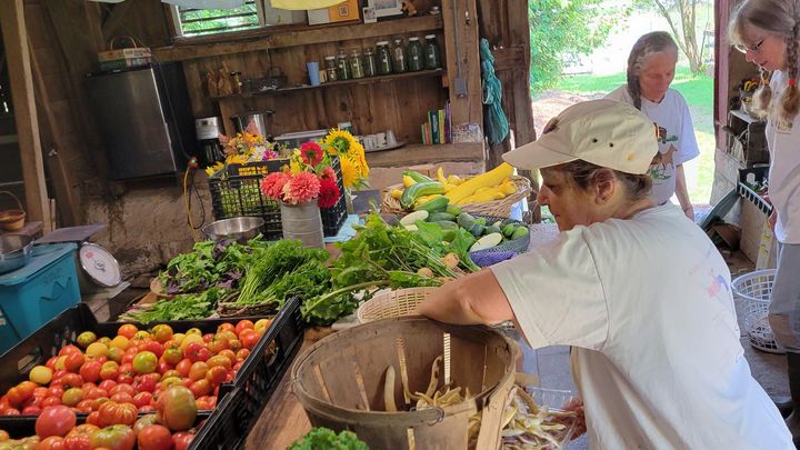 Help Community Farm Survive and Build a Sustainable Future campaign photo, 1 of 8