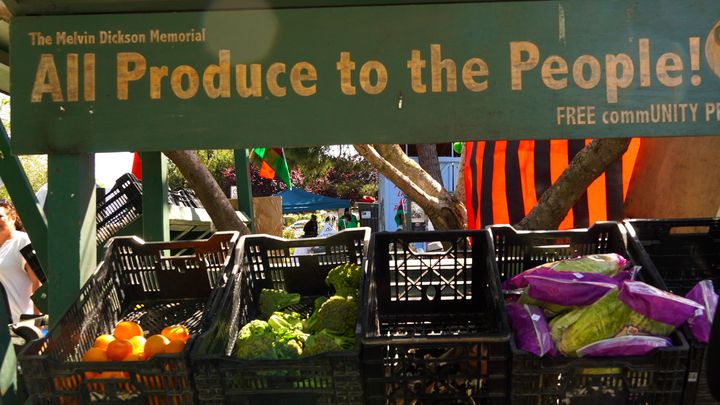 Help keep SHHP's Pantry Open This Fall campaign photo, 1 of 8