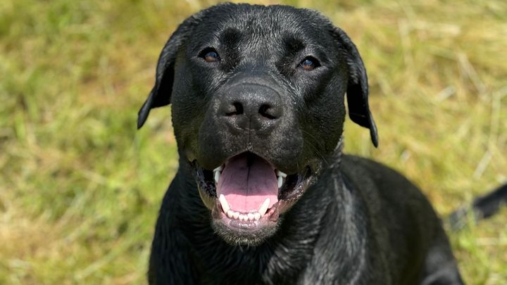 Main fundraiser photo