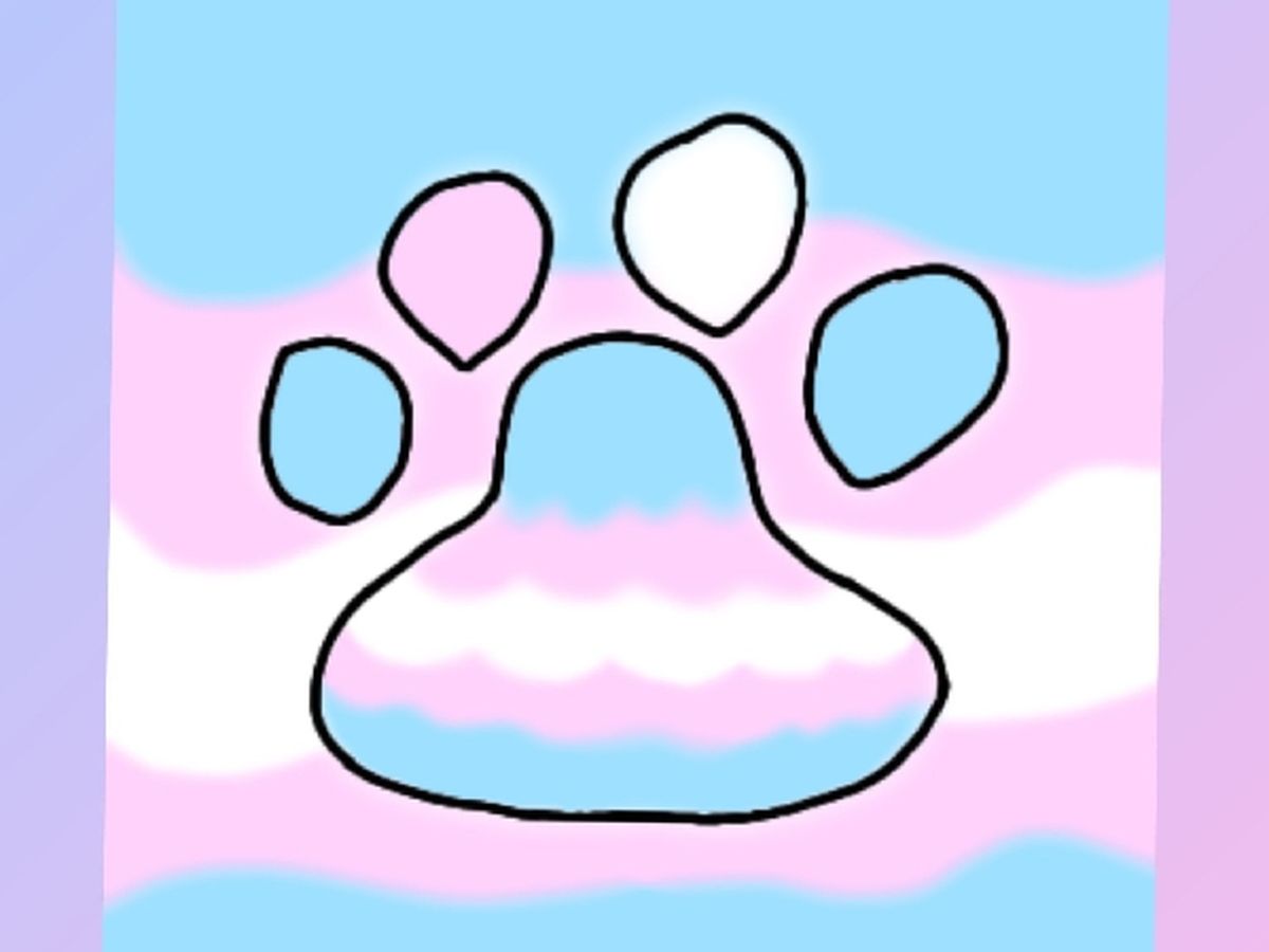 Fundraiser’s main image
