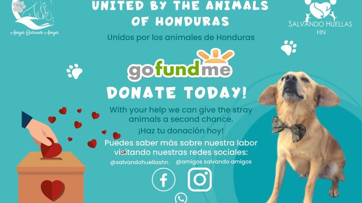 Foto principal de la recaudación de fondos