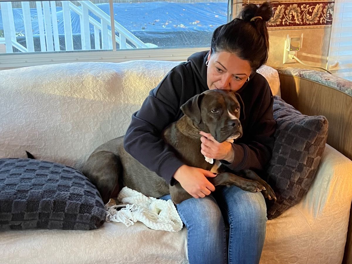 Fundraiser for Andrea Toy by Jennifer Toy : Please help Annie with what ...