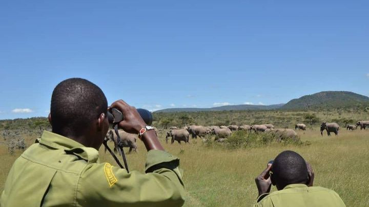 Preventing Human Wildlife Conflict - Support Elephant Aware campaign photo, 1 of 8