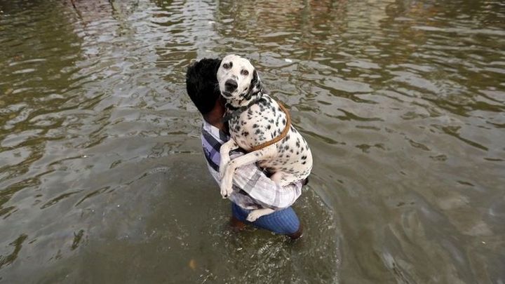 Hope for Nepal: Saving Families & Pets campaign photo, 1 of 7