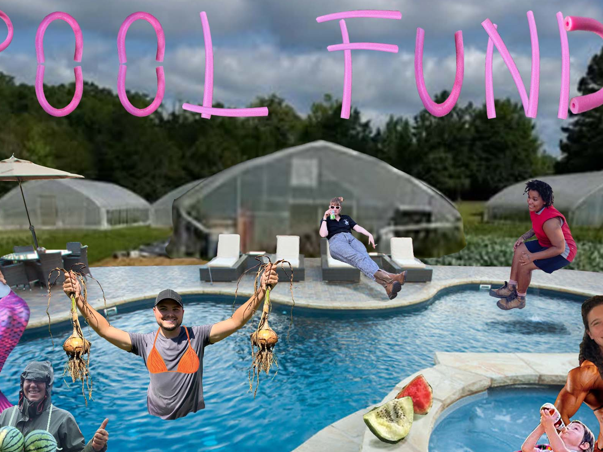Fundraiser’s main image