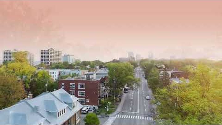 Sauvons les 1584 Arbres de Québec video thumbnail, 1 of 3