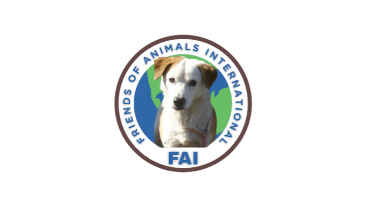 Support Our Rescue: Help Us Save Street Dogs in Kosovo campaign photo, 1 of 3