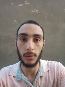 Mustafa M Wadi