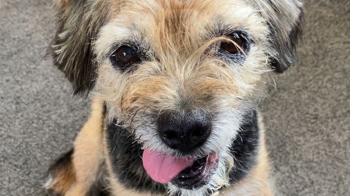 Brambles Road to Recovery ❤️ campaign photo, 1 of 3
