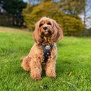 Profile photo of Clodagh Moore