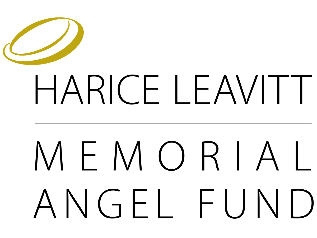 Fundraiser’s main image