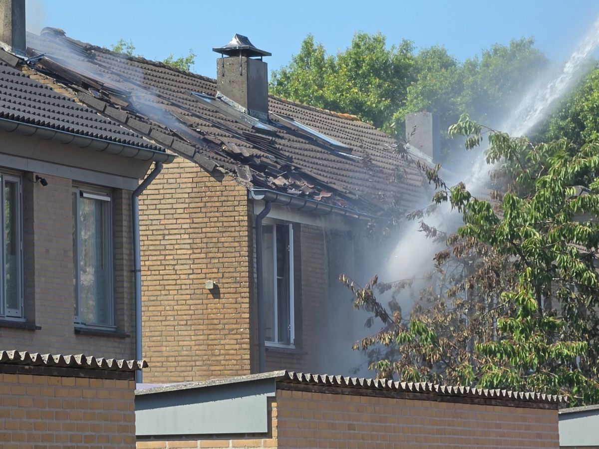 Eerste Hulp na verwoestende brand aan de goudplevier in Oss campaign photo, 1 of 8