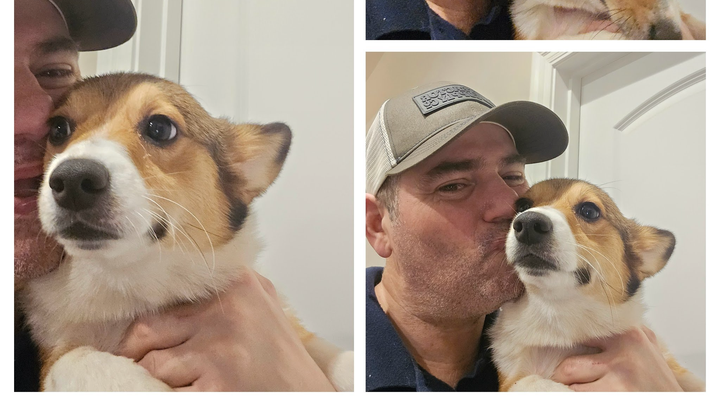 Recently divorced and hospitalized corgidad needs help. campaign photo, 1 of 3