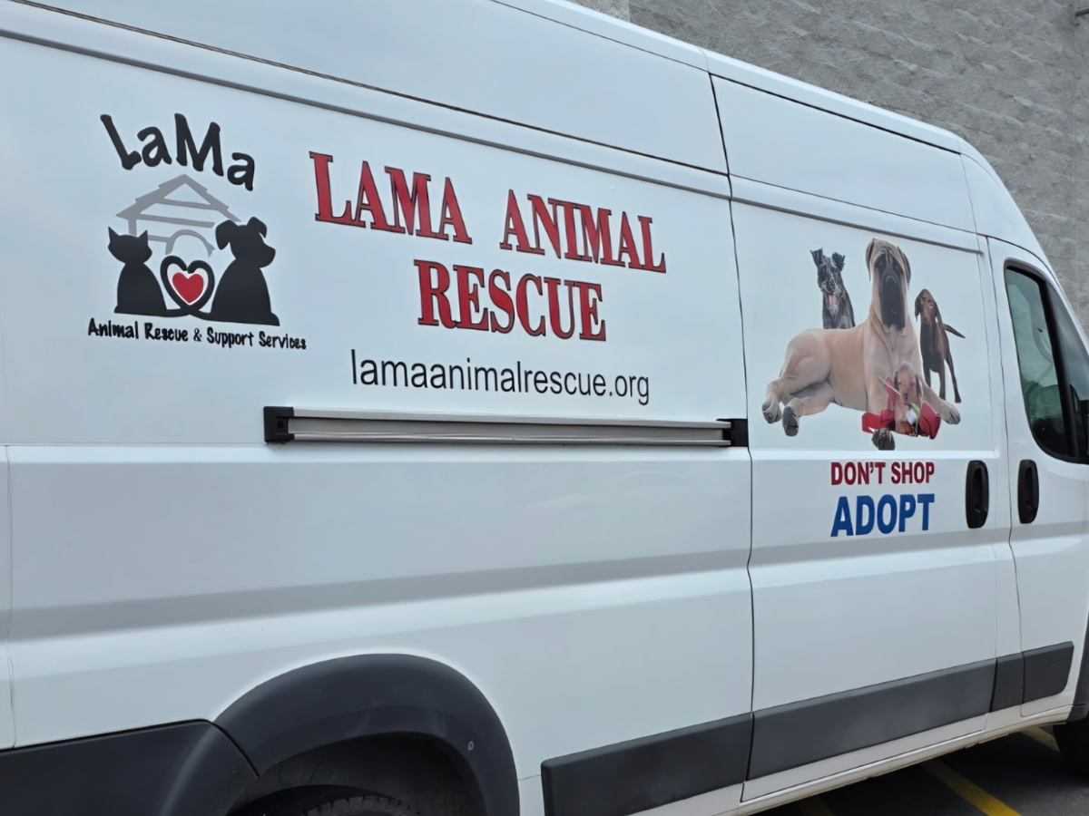 Fundraiser’s main image