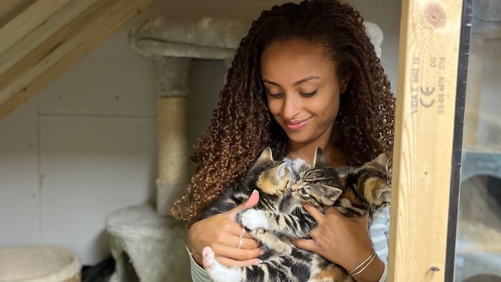 Rescue cats and kittens in need campaign photo, 1 of 3