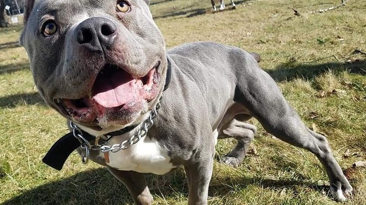 Main fundraiser photo