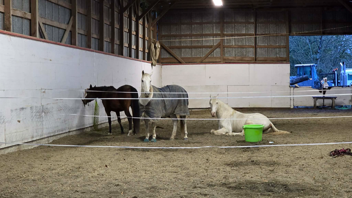 Help Cherry Creek Farm Rebuild After Catastrophic Flood campaign photo, 1 of 6
