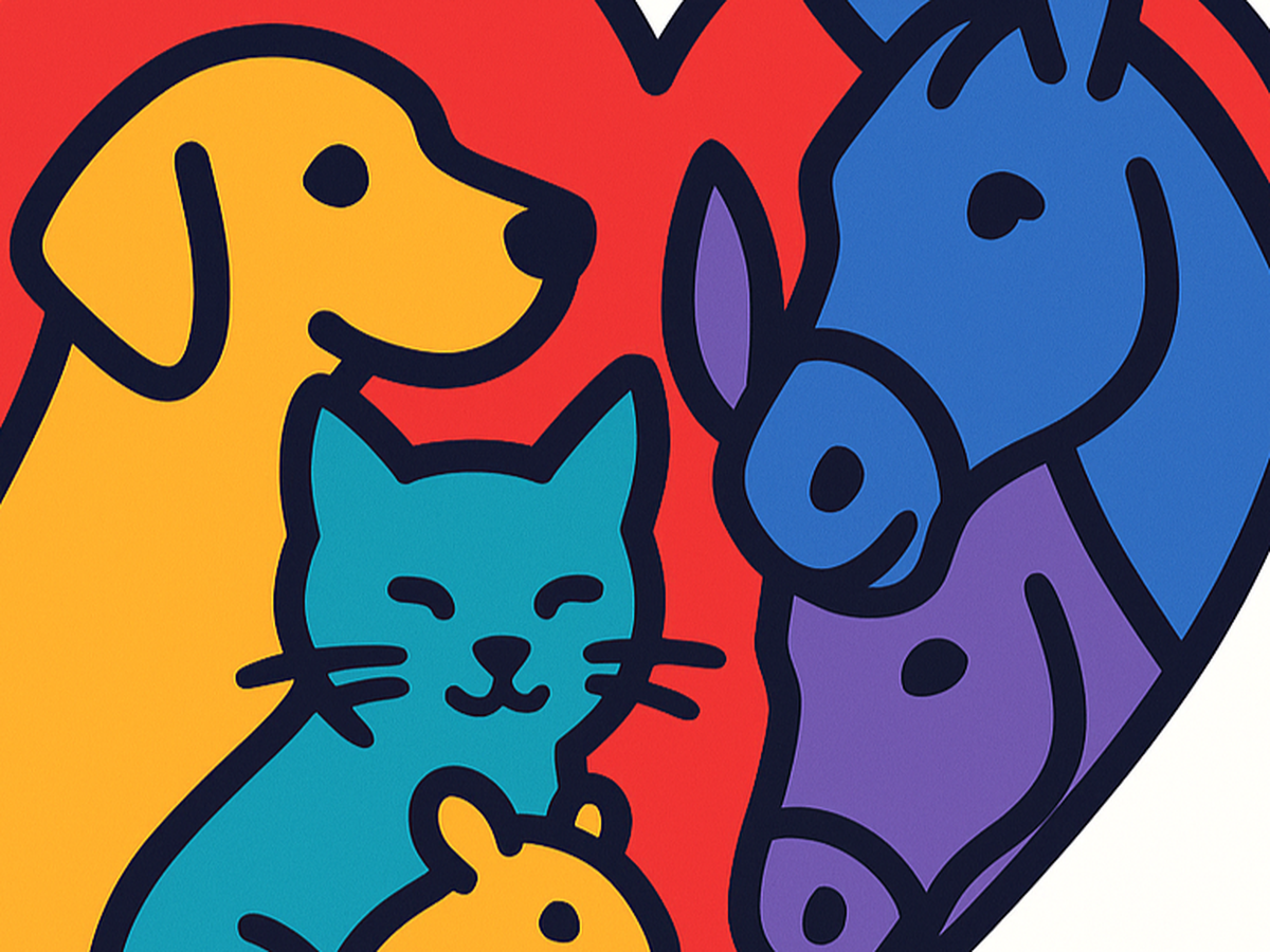 Fundraiser’s main image