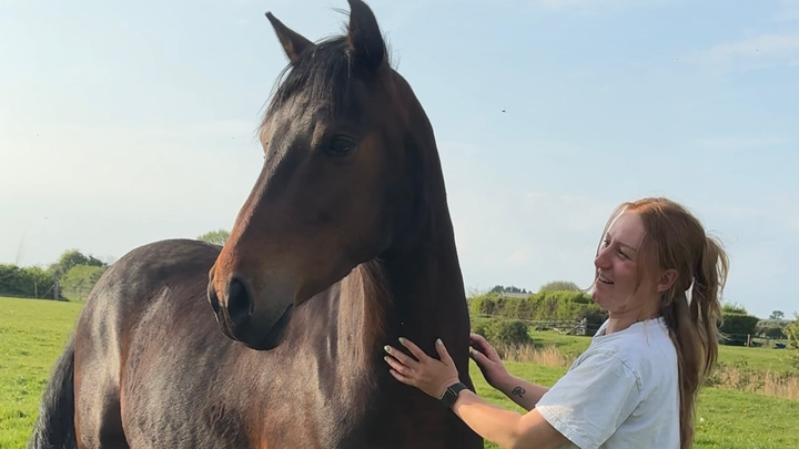 Rehabilitation for Bertie campaign photo, 1 of 3