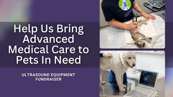 Help Us Bring Advanced Medical Care To Pets campaign photo, 1 of 5