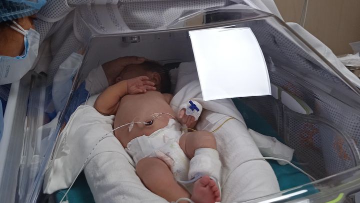 Foto principal de la recaudación de fondos