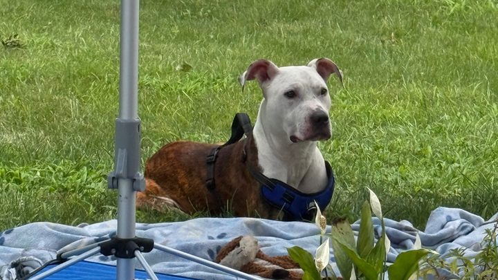 Main fundraiser photo