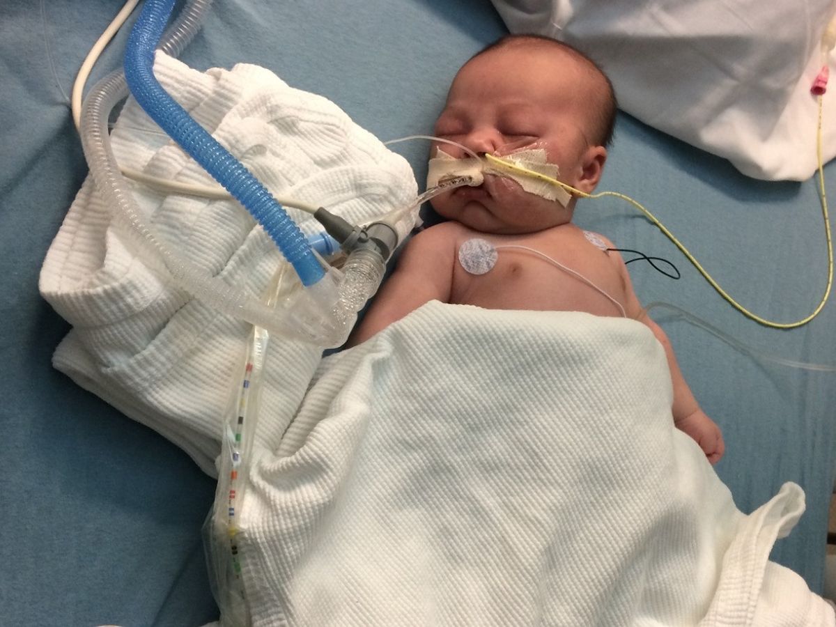 Fundraiser for Joshua Leal by Alycia Leal : Kodiak Kai