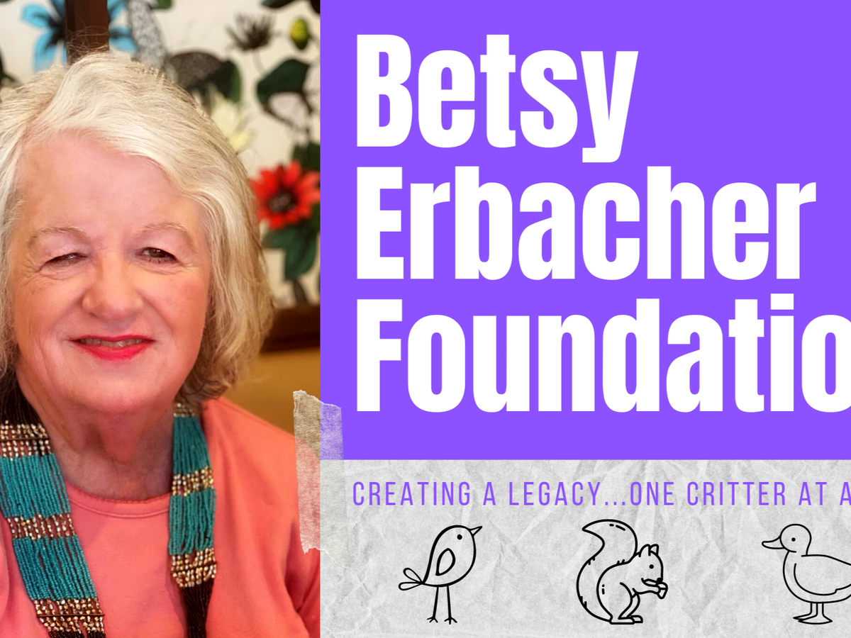 Fundraiser’s main image