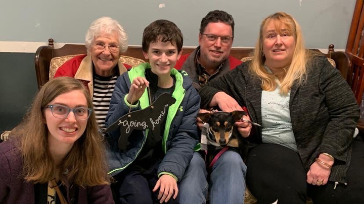 Support Pets Alive for Joy's 90th Birthday campaign photo, 1 of 2