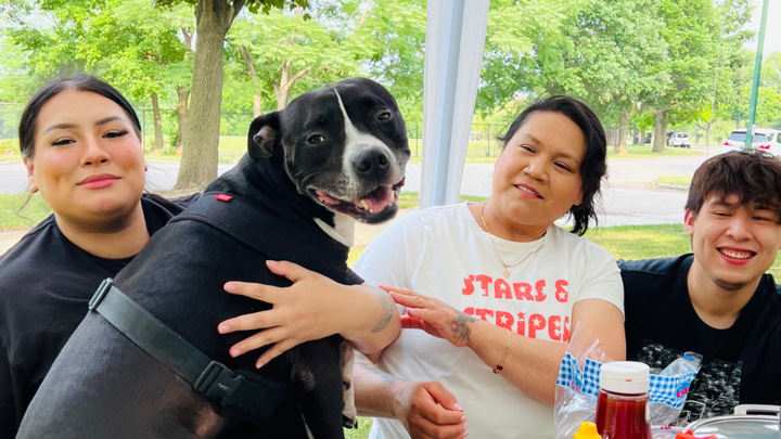 Donate to Save Chop's Life from Cancer campaign photo, 1 of 3