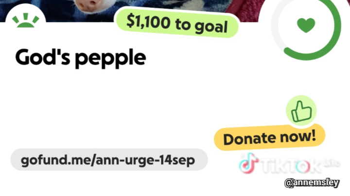 Donate to Give Ann, Kevin, and Sadie a Warm Home campaign photo, 1 of 7