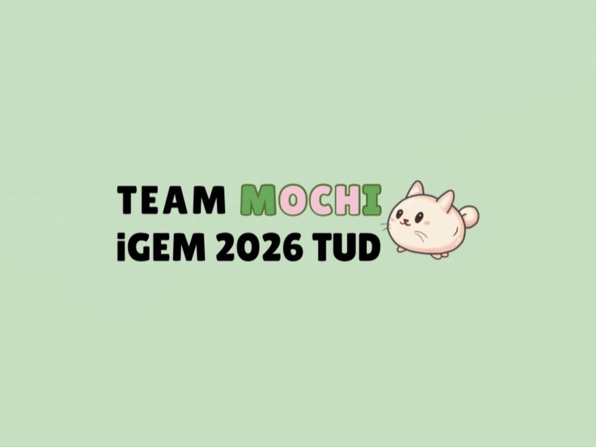 Unterstützung für das iGEM-Team TU Dresden 2026 MOCHI campaign photo, 1 of 6