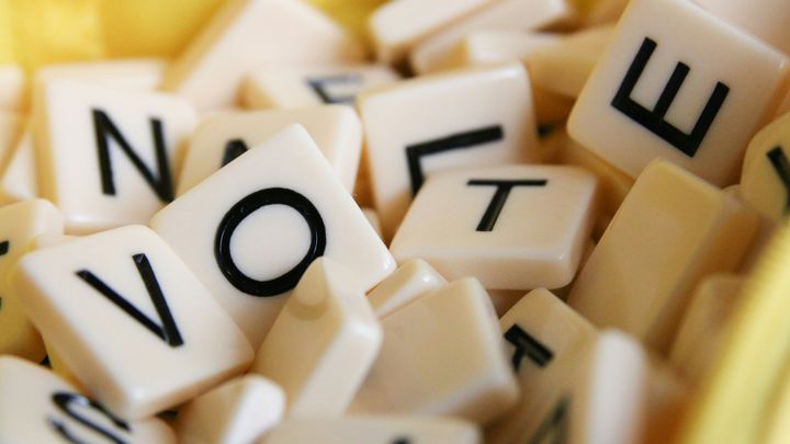 Voter Mapping & Outreach for 2026 Midterms campaign photo, 1 of 3