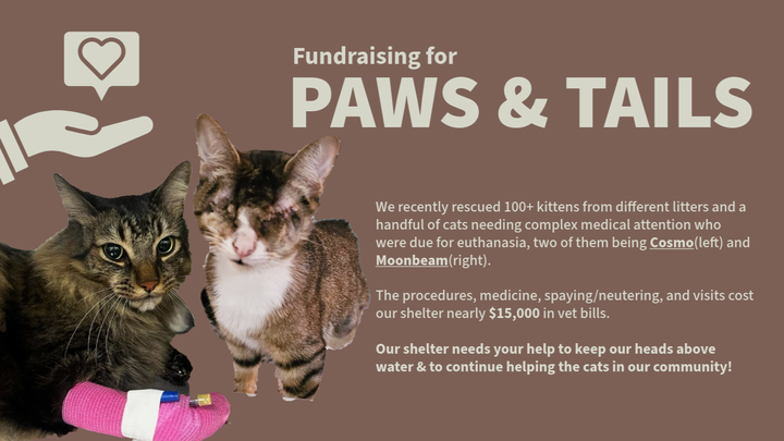 Main fundraiser photo