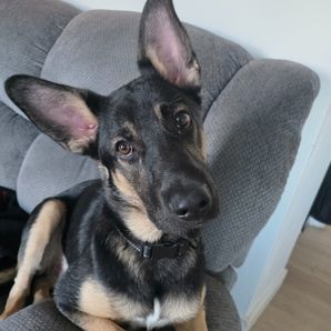 In Sobriety and trying to be a better Woman,Mother.