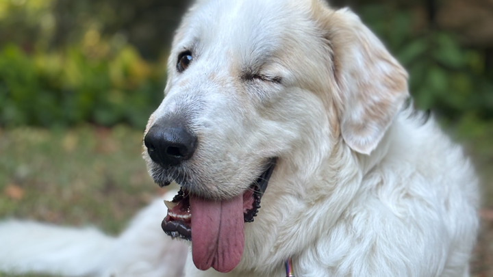 Care for Connie: Help our Courageous Girl! campaign photo, 1 of 8