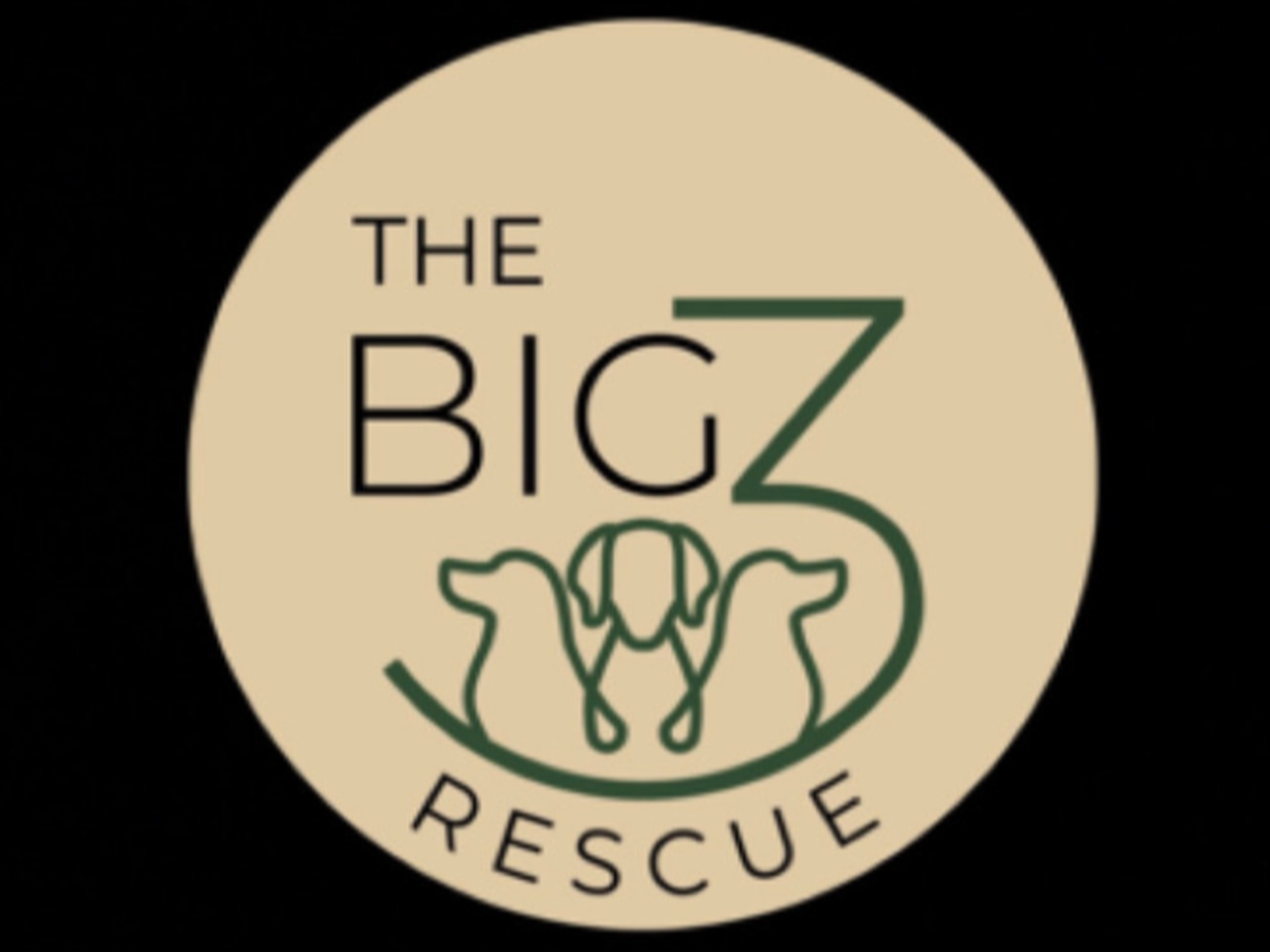 Fundraiser’s main image