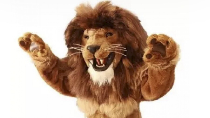 Ambrose Mascot campaign photo, 1 of 3