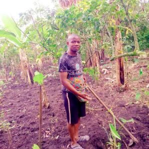 Lifewinsdrugfree Foundation 