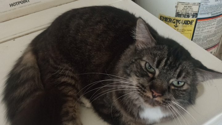 Urgent Help Needed for Bills and Food campaign photo, 1 of 3