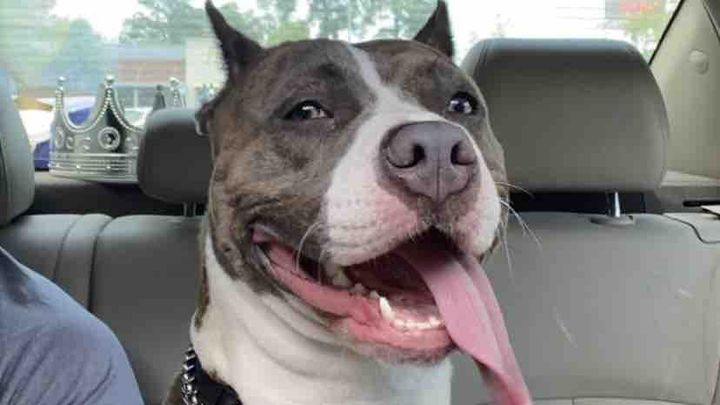 Save Zara: Urgent Surgery Needed campaign photo, 1 of 8