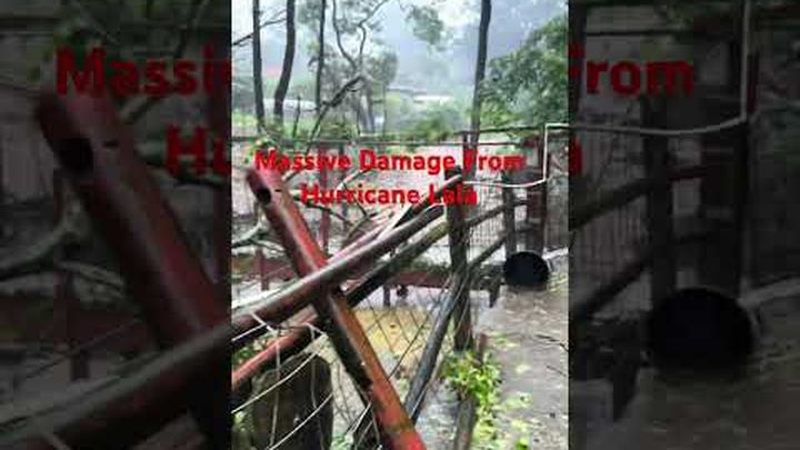 Help Us Rebuild Safe Enclosures for Maui's Rescued Animals video thumbnail, 1 of 8