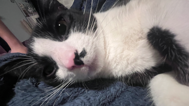 Helping Printer's Urgent Surgery Costs campaign photo, 1 of 4