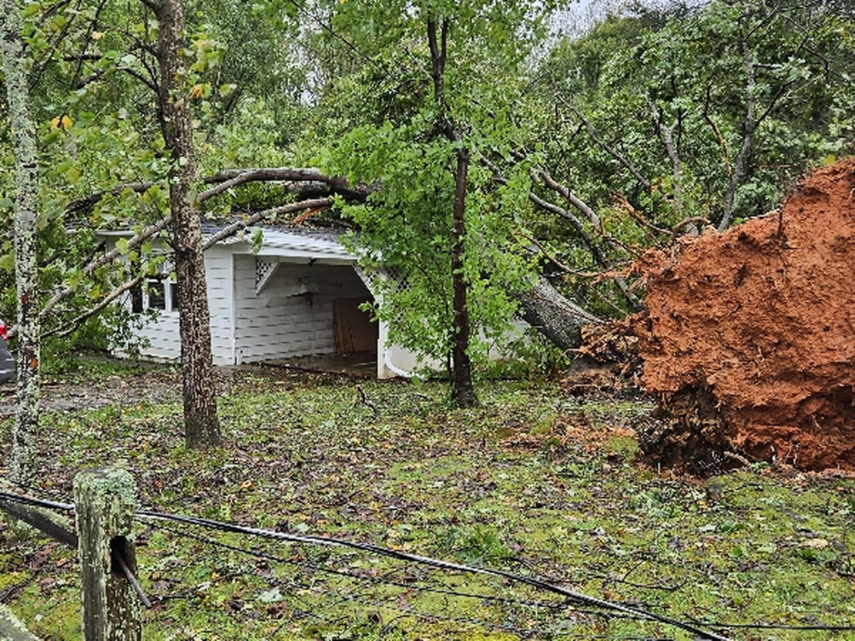 Amy Coffman - Video, image size:1200x900